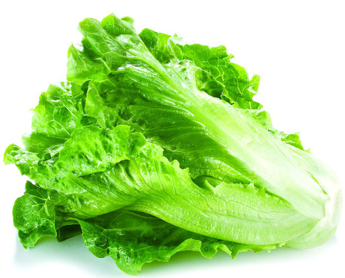Sistema de inspección de rayos X de velocidad de 10 a 70 m/min para productos alimenticios de frutas y hortalizas